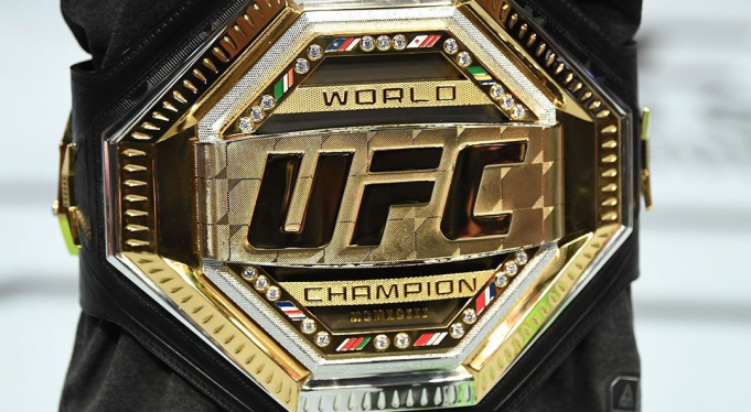UFC 265: Lewis vs. Gane & Nunes vs. Pena
